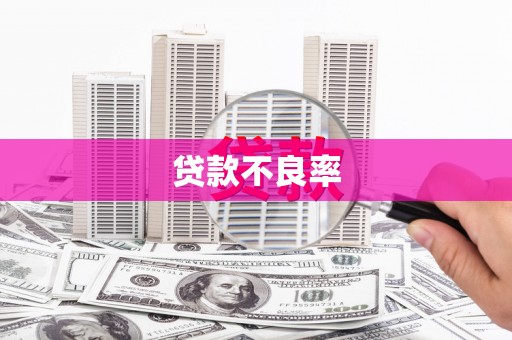 那玛夏贷款不良率