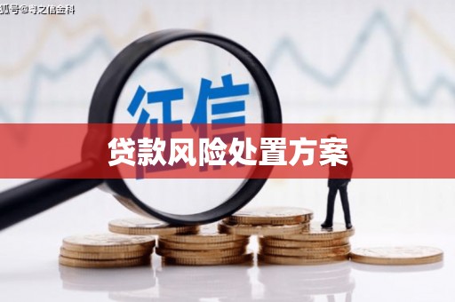 那玛夏贷款风险处置方案