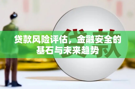 那玛夏贷款风险评估，金融安全的基石与未来趋势