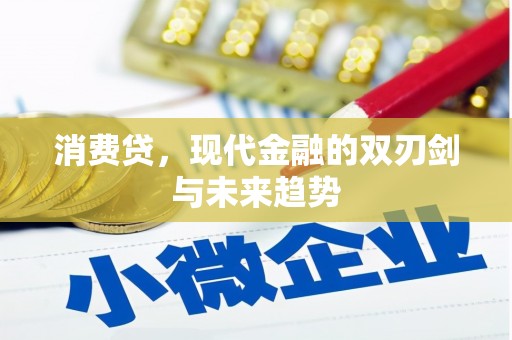 那玛夏消费贷，现代金融的双刃剑与未来趋势