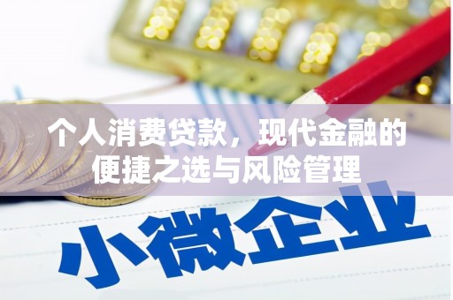 那玛夏个人消费贷款，现代金融的便捷之选与风险管理
