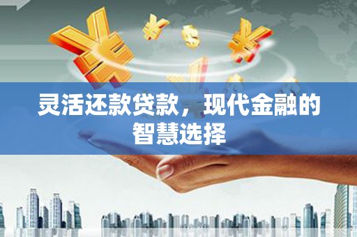 那玛夏灵活还款贷款，现代金融的智慧选择