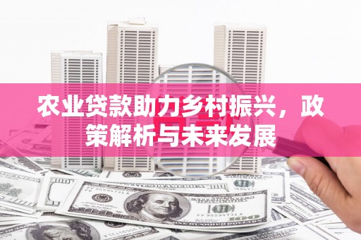 那玛夏农业贷款助力乡村振兴，政策解析与未来发展