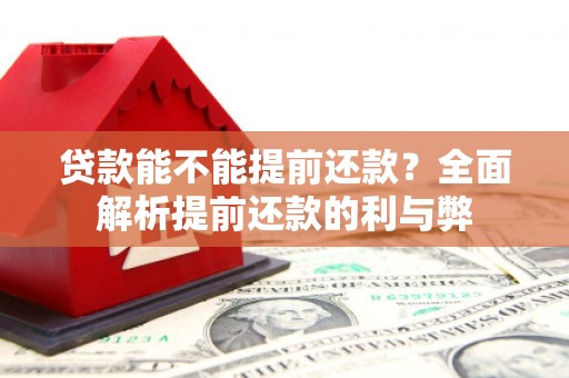 那玛夏贷款能不能提前还款？全面解析提前还款的利与弊
