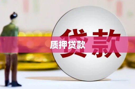 那玛夏质押贷款