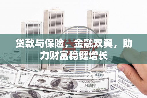 那玛夏贷款与保险，金融双翼，助力财富稳健增长