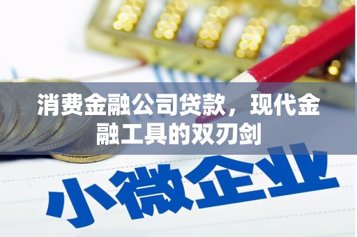那玛夏消费金融公司贷款，现代金融工具的双刃剑