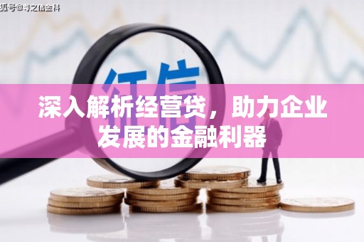 那玛夏深入解析经营贷，助力企业发展的金融利器