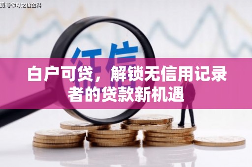 那玛夏白户可贷，解锁无信用记录者的贷款新机遇