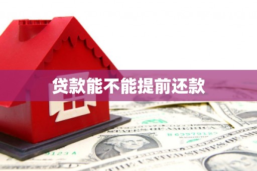 那玛夏贷款能不能提前还款