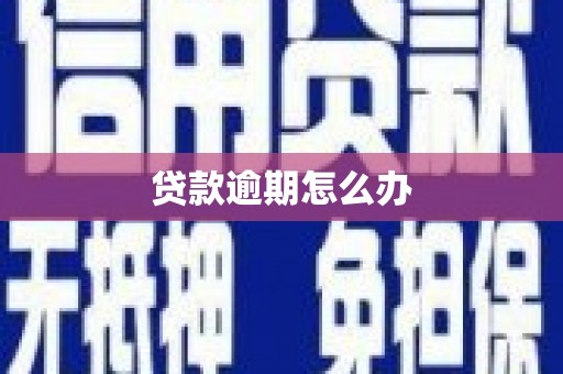 那玛夏贷款逾期怎么办