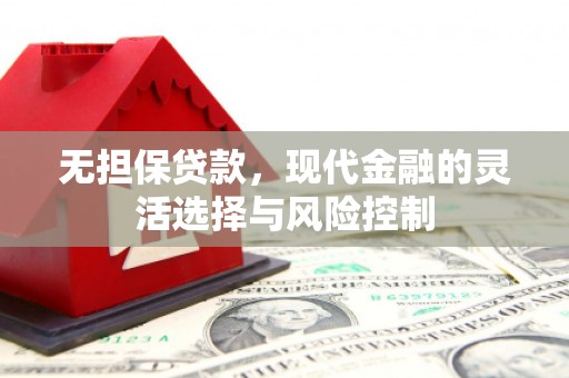 那玛夏无担保贷款，现代金融的灵活选择与风险控制