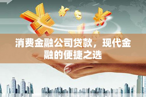 那玛夏消费金融公司贷款，现代金融的便捷之选
