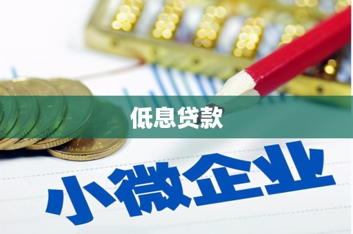 那玛夏低息贷款