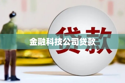 那玛夏金融科技公司贷款