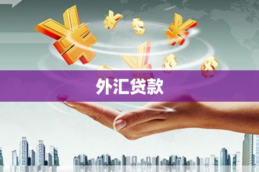 那玛夏外汇贷款