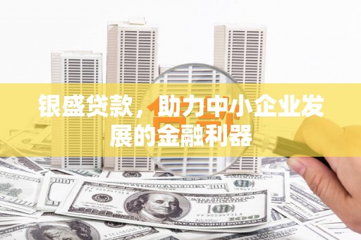 那玛夏银盛贷款，助力中小企业发展的金融利器