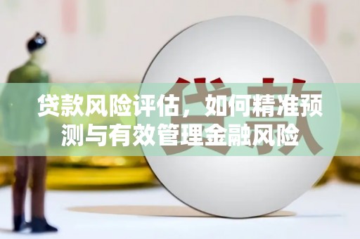 那玛夏贷款风险评估，如何精准预测与有效管理金融风险