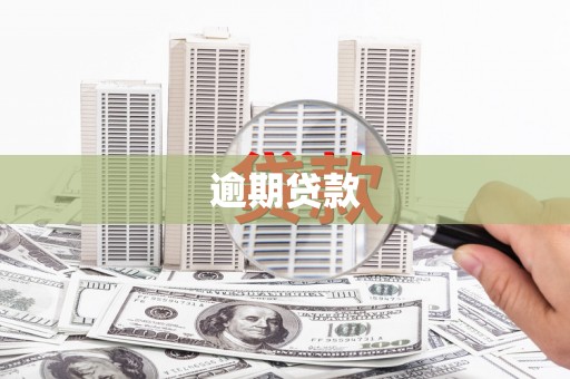 那玛夏逾期贷款