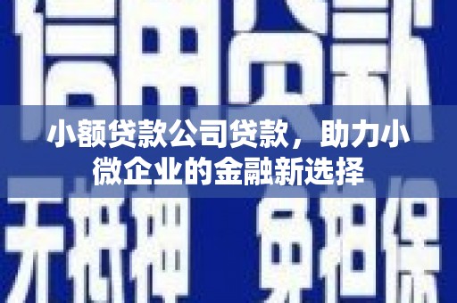 那玛夏小额贷款公司贷款，助力小微企业的金融新选择