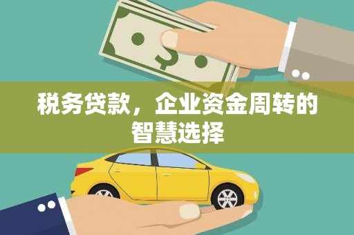 那玛夏税务贷款，企业资金周转的智慧选择