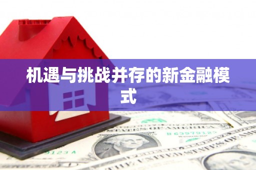 那玛夏机遇与挑战并存的新金融模式