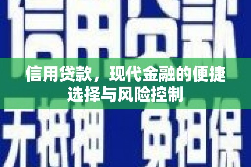 那玛夏信用贷款，现代金融的便捷选择与风险控制