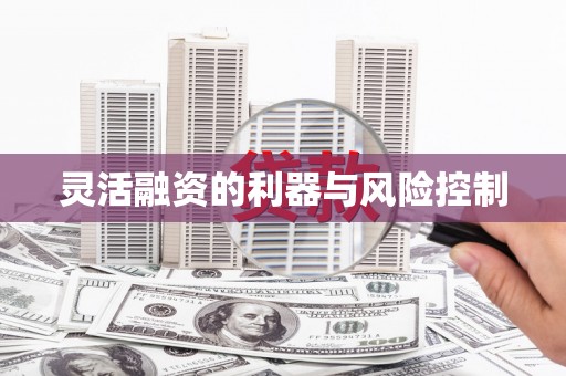 那玛夏灵活融资的利器与风险控制