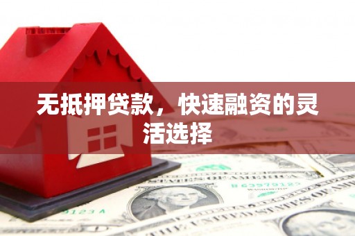 那玛夏无抵押贷款，快速融资的灵活选择