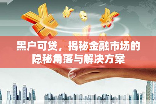 那玛夏黑户可贷，揭秘金融市场的隐秘角落与解决方案