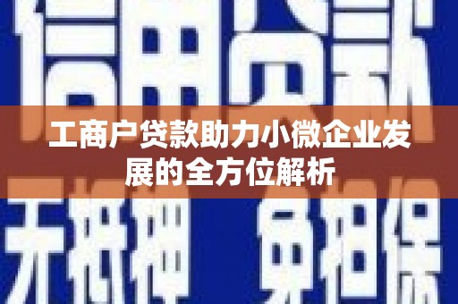 那玛夏工商户贷款助力小微企业发展的全方位解析