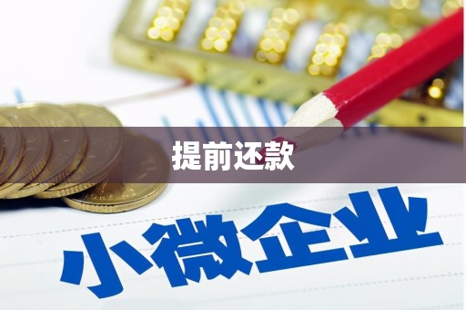 那玛夏提前还款