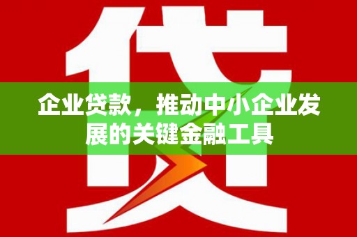 那玛夏企业贷款，推动中小企业发展的关键金融工具