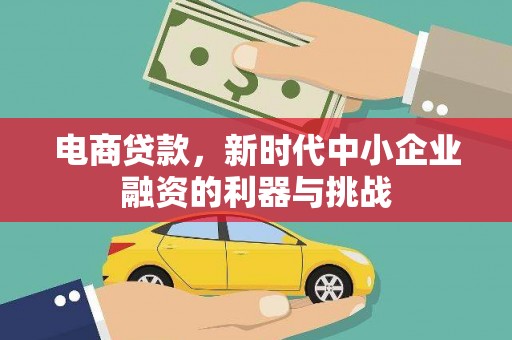 那玛夏电商贷款，新时代中小企业融资的利器与挑战