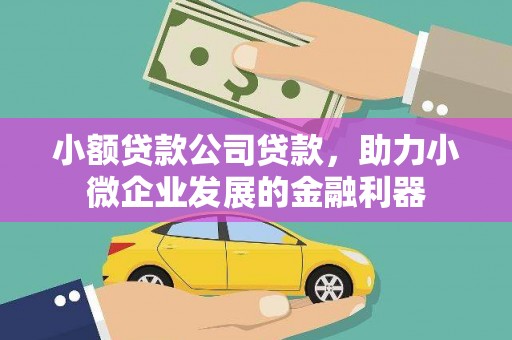 那玛夏小额贷款公司贷款，助力小微企业发展的金融利器