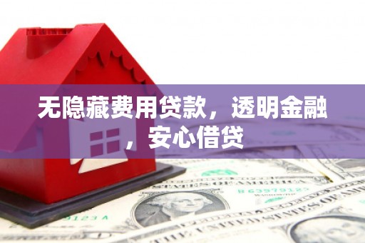 那玛夏无隐藏费用贷款，透明金融，安心借贷