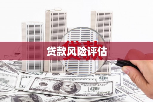 那玛夏贷款风险评估