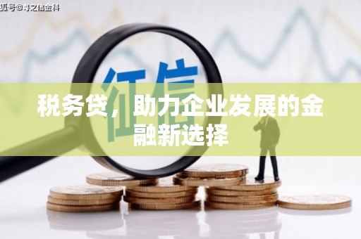 那玛夏税务贷，助力企业发展的金融新选择