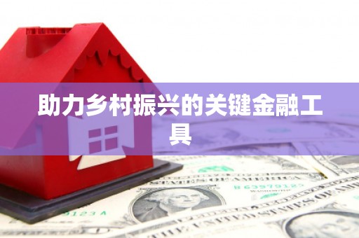 那玛夏助力乡村振兴的关键金融工具