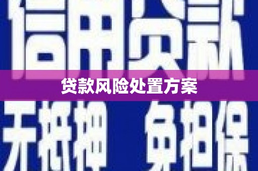 那玛夏贷款风险处置方案