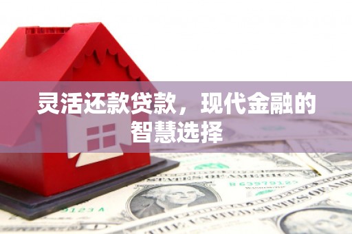 那玛夏灵活还款贷款，现代金融的智慧选择