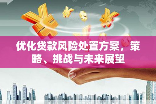 那玛夏优化贷款风险处置方案，策略、挑战与未来展望