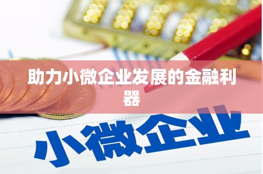 那玛夏助力小微企业发展的金融利器