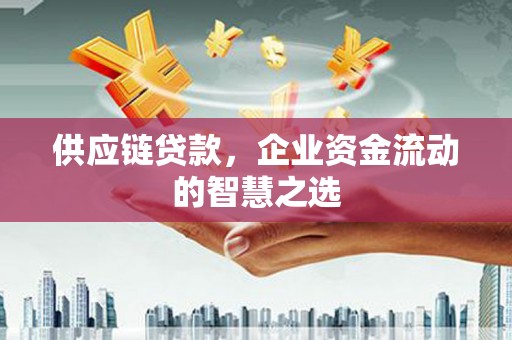 那玛夏供应链贷款，企业资金流动的智慧之选