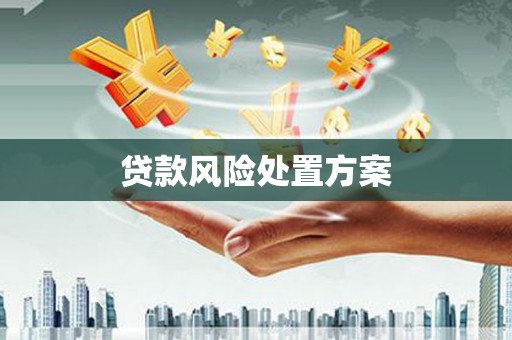 那玛夏贷款风险处置方案