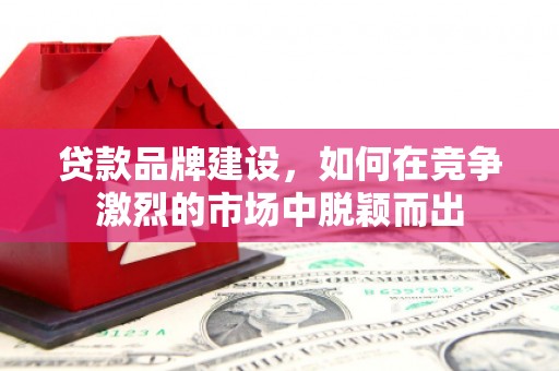 那玛夏贷款品牌建设，如何在竞争激烈的市场中脱颖而出