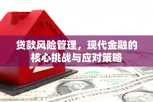 那玛夏贷款风险管理，现代金融的核心挑战与应对策略