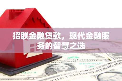 那玛夏招联金融贷款，现代金融服务的智慧之选