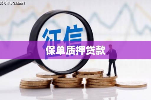 那玛夏保单质押贷款