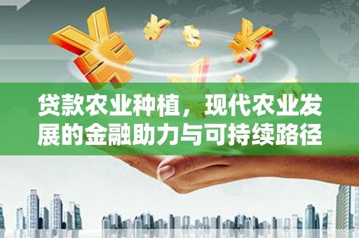 那玛夏贷款农业种植，现代农业发展的金融助力与可持续路径
